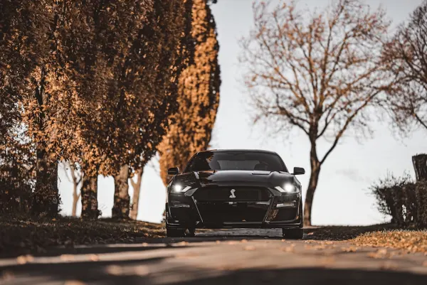 SuperNopea Casino Android/iOS App